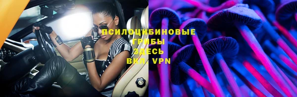 МДПВ Верея