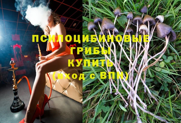 МДПВ Верея