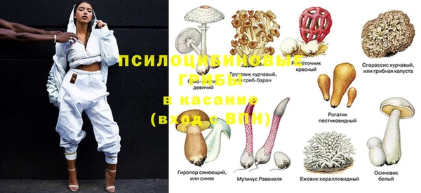 МДПВ Верея